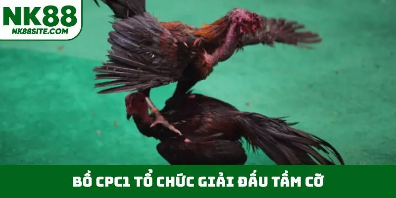 Bồ CPC1 tổ chức giải đấu tầm cỡ