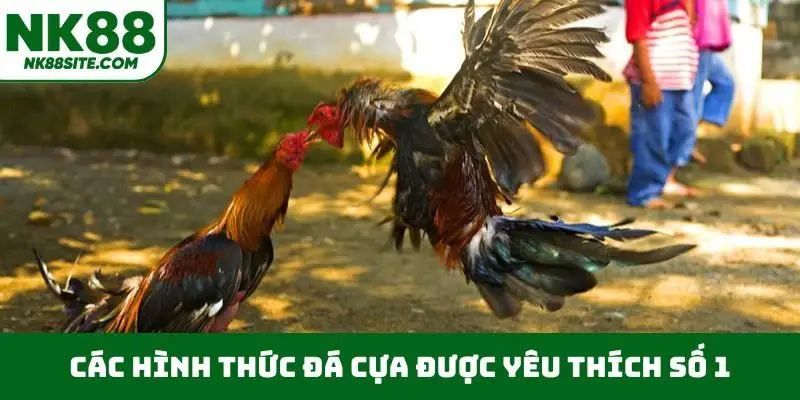 Xem phát sóng trực tiếp đá gà 67