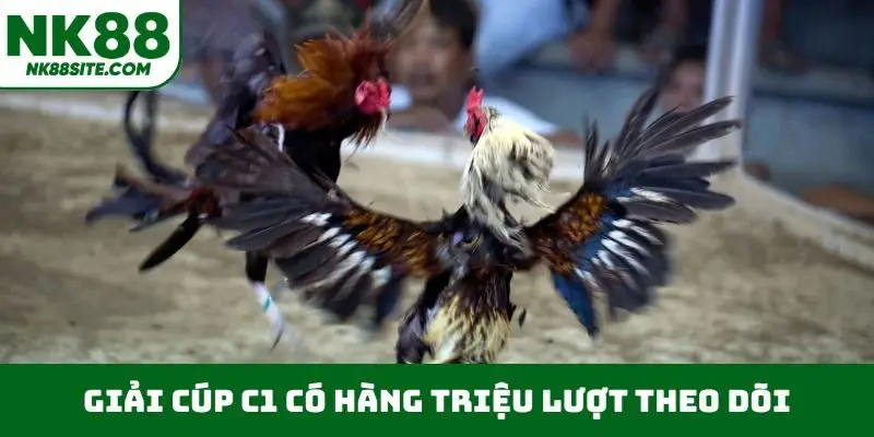 Giải Cúp C1 có hàng triệu lượt theo dõi