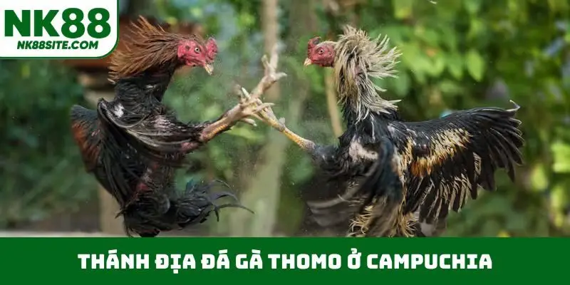 Thánh địa đá gà Thomo ở Campuchia